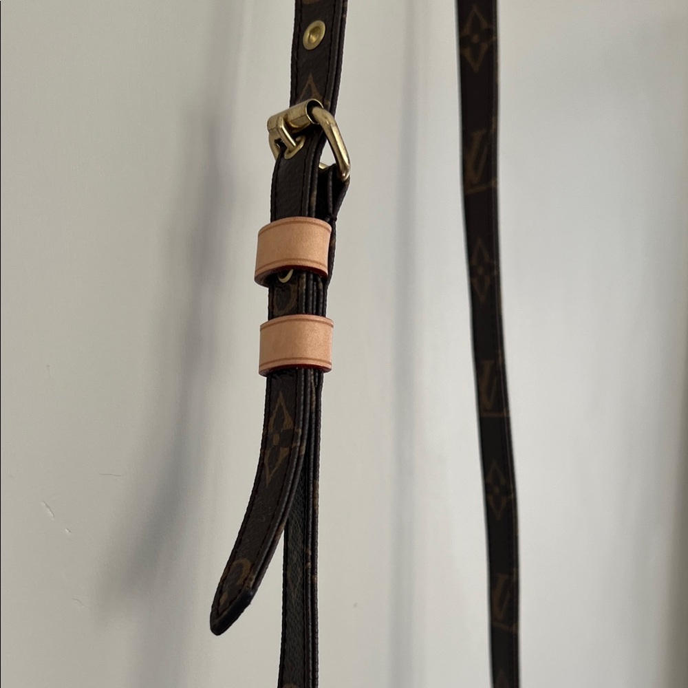 Louis Vuitton Vintage Amazon Monogram Brown Crossbody Bag - Picture 7 of 15